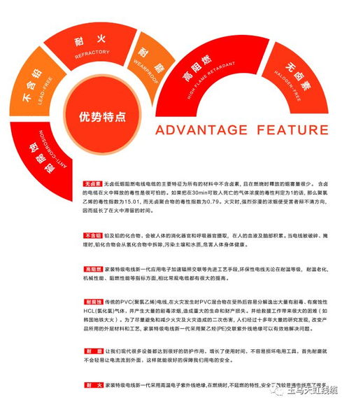 天虹線纜 助力傳統村落煥新顏，守護黔溪村電氣安全